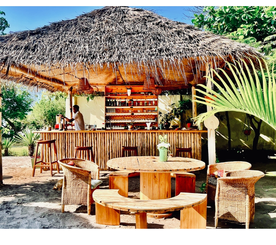 Pemba Adası Dalış Turu