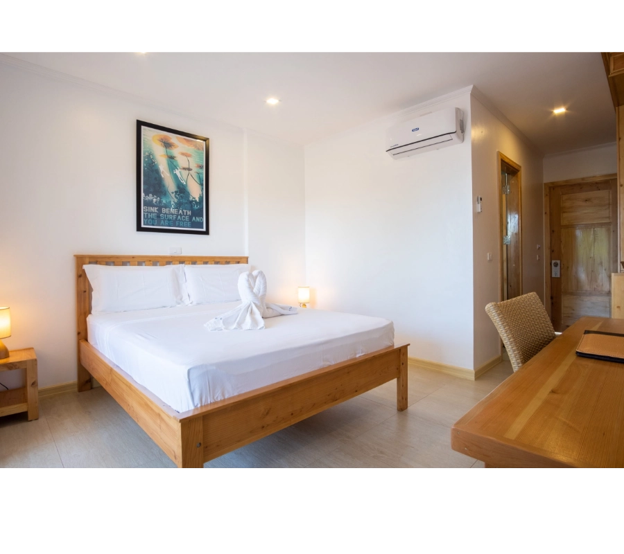 Filipinler Moalboal Dalış Turu