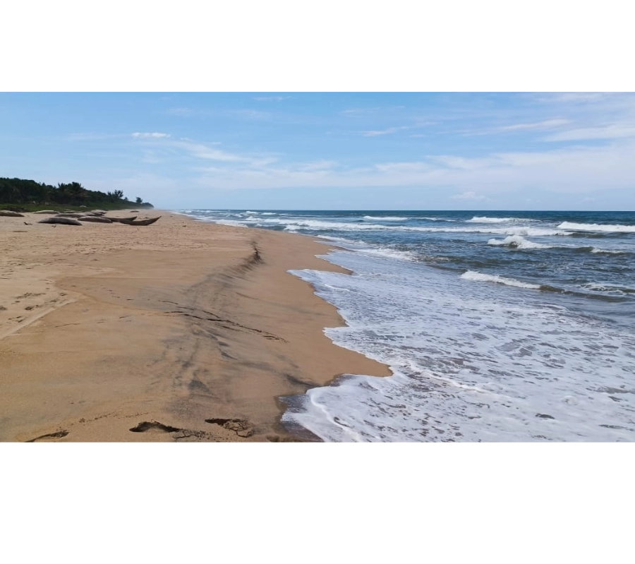 Madagaskar Dalış Turu