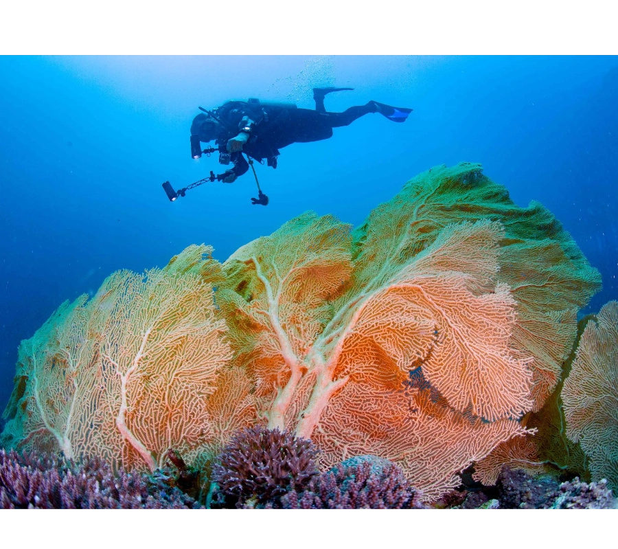 Madagaskar Dalış Turu