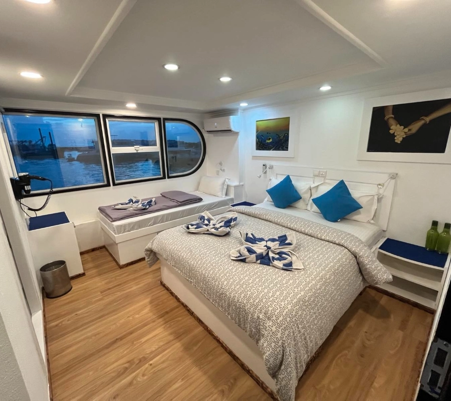 Güney Maldivler Tiger Shark Dalış Turu