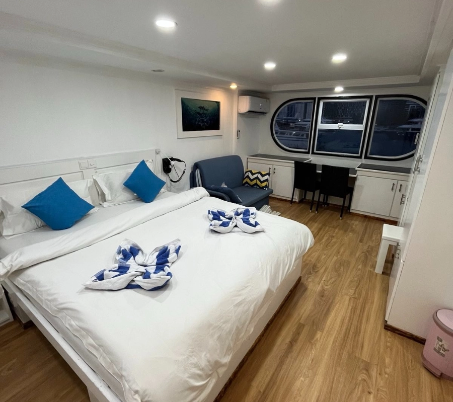 Güney Maldivler Tiger Shark Dalış Turu