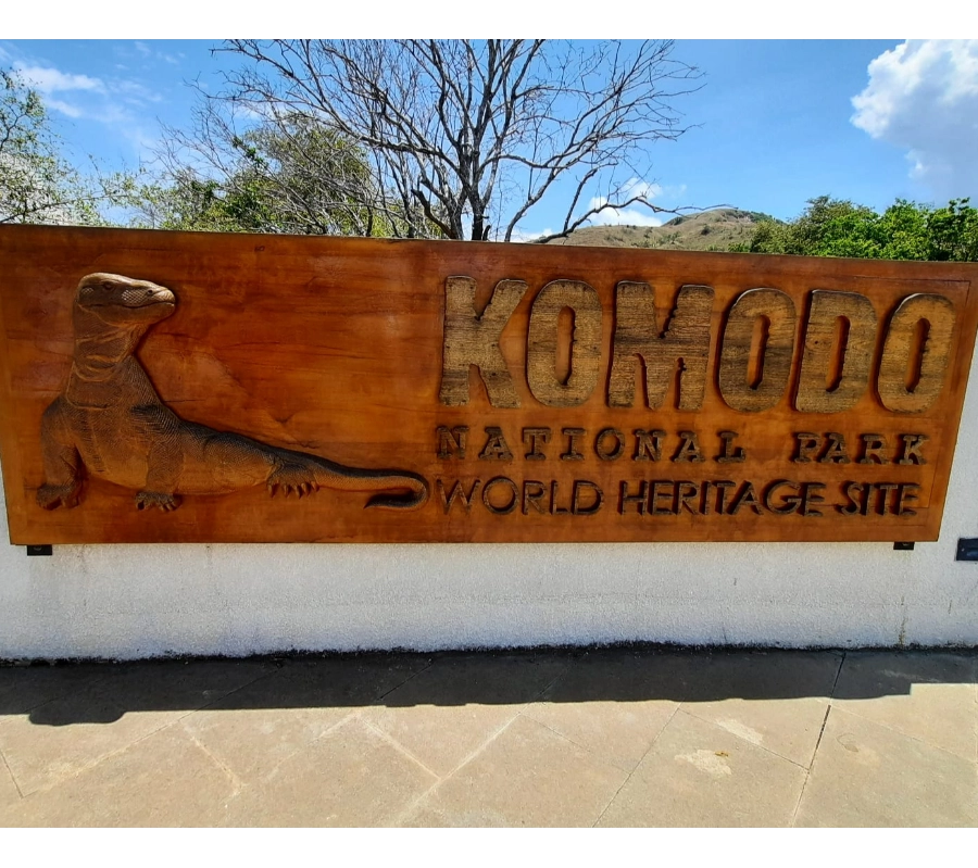 SCUBA-BAY Komodo Dalış Turu | Eylül 2026 - Fotoğraf 12