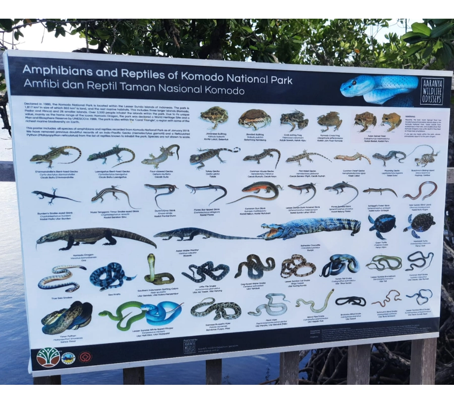 SCUBA-BAY Komodo Dalış Turu | Eylül 2026 - Fotoğraf 13