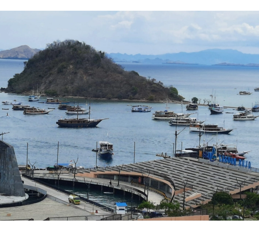 SCUBA-BAY Komodo Dalış Turu | Eylül 2026 - Fotoğraf 16