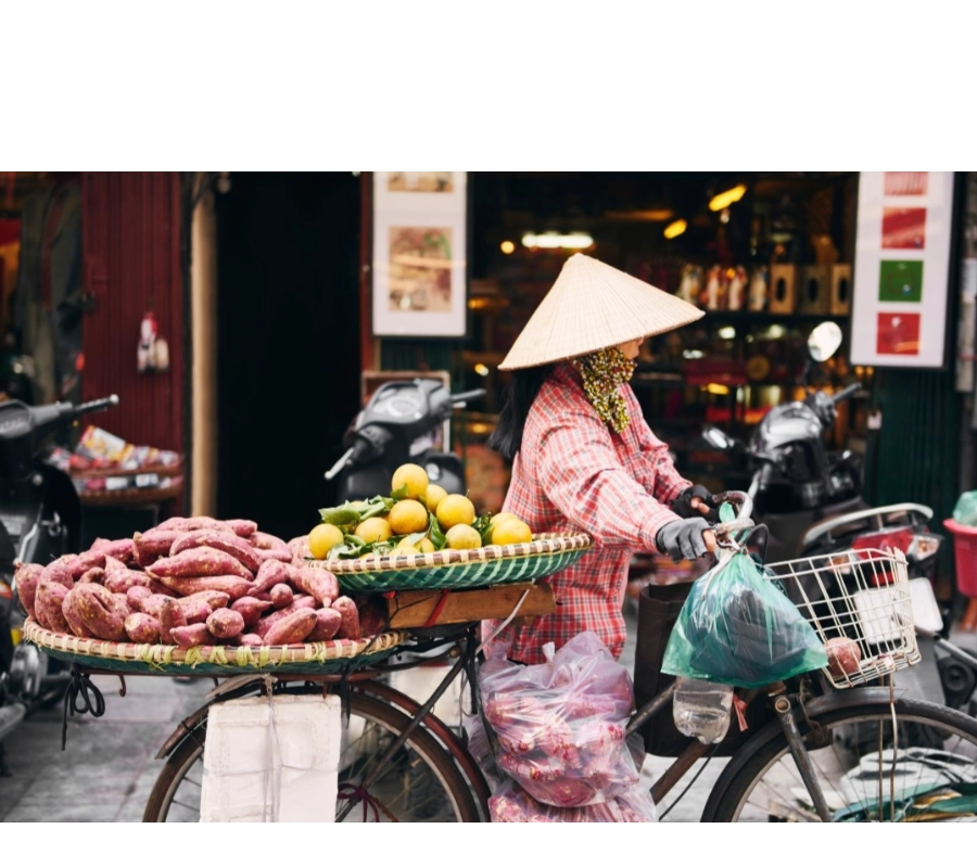 BAŞTAN SONA VİETNAM KÜLTÜR TURU