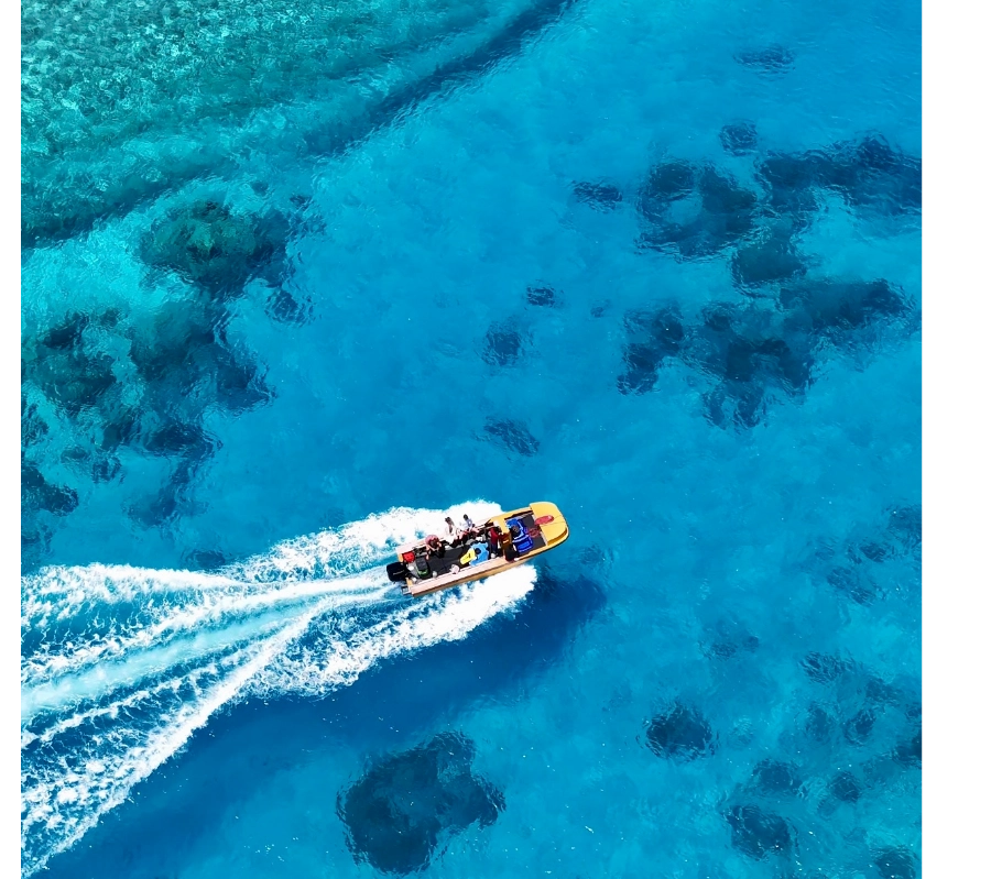 Pemba Adası Dalış Turu