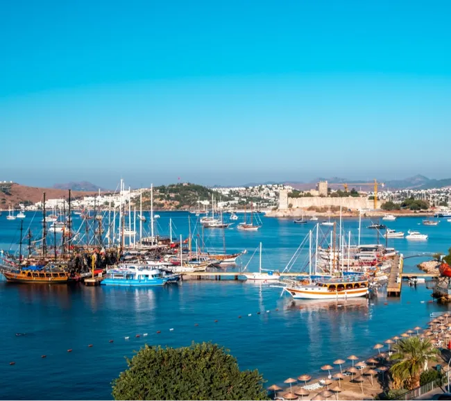 Bodrum Dalış Turu - Fotoğraf 3