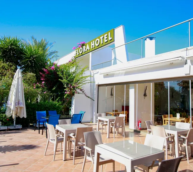 Bodrum Dalış Turu - Fotoğraf 7