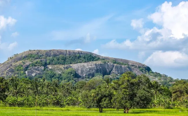 Sri Lanka Kültür Turu