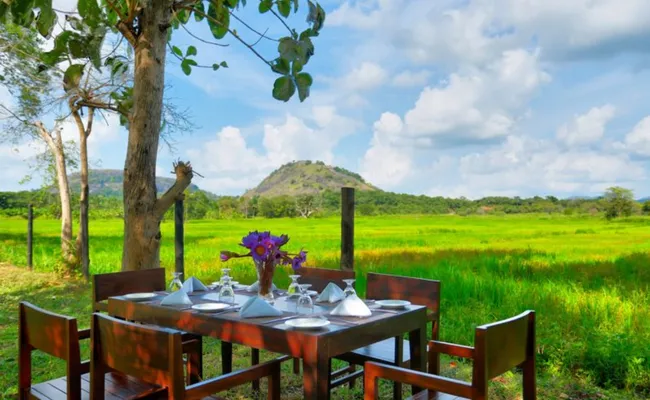Sri Lanka Kültür Turu