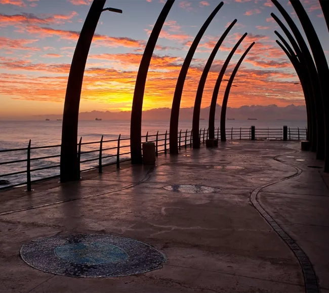 Güney Afrika Dalış ve Kültür Turu