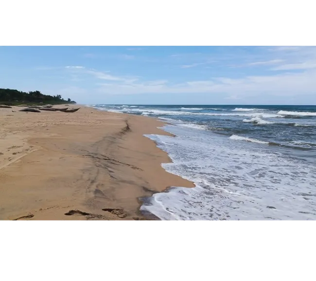 Madagaskar Dalış Turu