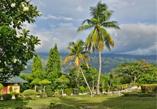Filipinler Moalboal Dalış Turu