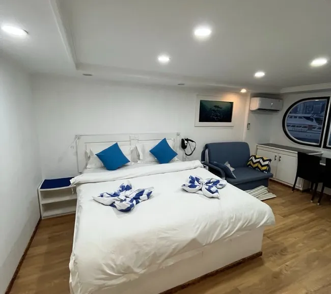 Güney Maldivler Tiger Shark Dalış Turu