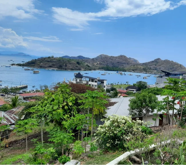 SCUBA-BAY Komodo Dalış Turu | Eylül 2026 - Fotoğraf 17