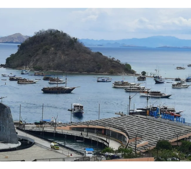 SCUBA-BAY Komodo Dalış Turu | Eylül 2026 - Fotoğraf 16