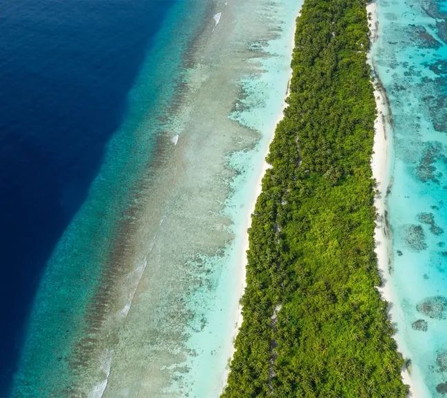 Maldivler Dalış Turu