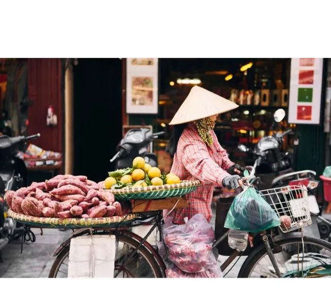 BAŞTAN SONA VİETNAM KÜLTÜR TURU