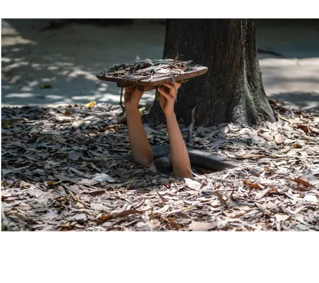 BAŞTAN SONA VİETNAM KÜLTÜR TURU