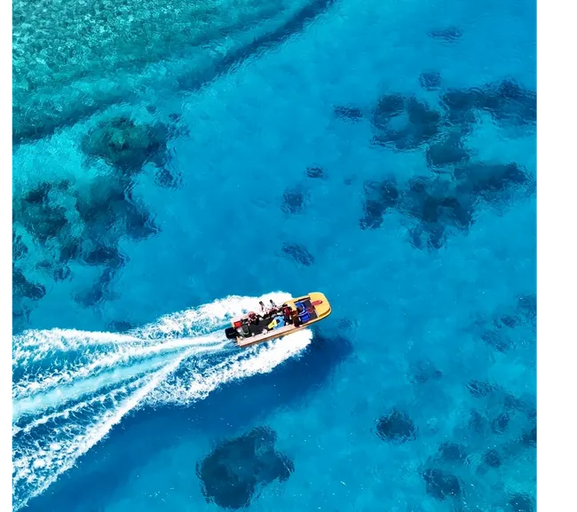 Pemba Adası Dalış Turu