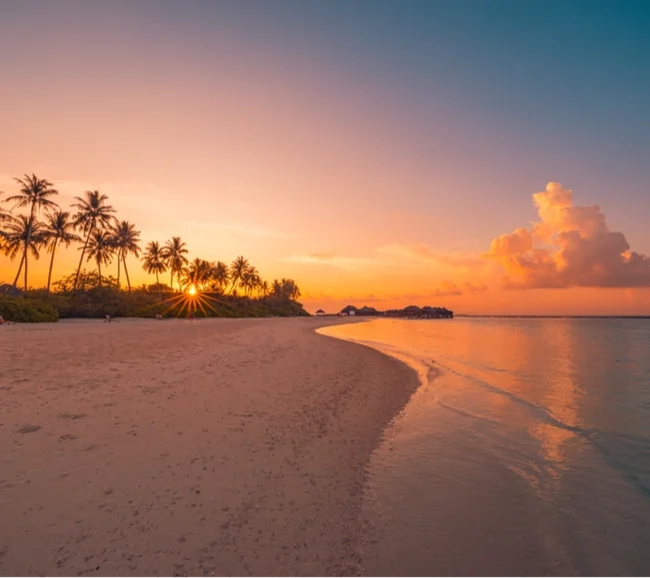 Mauritius Dalış ve Kültür Turu - Fotoğraf 6