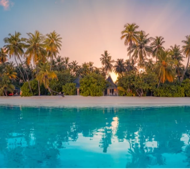 Mauritius Dalış ve Kültür Turu - Fotoğraf 3