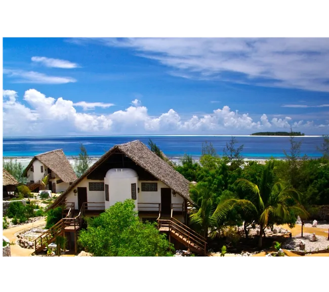 Zanzibar Bayram Tatili Dalış ve Kültür Turu