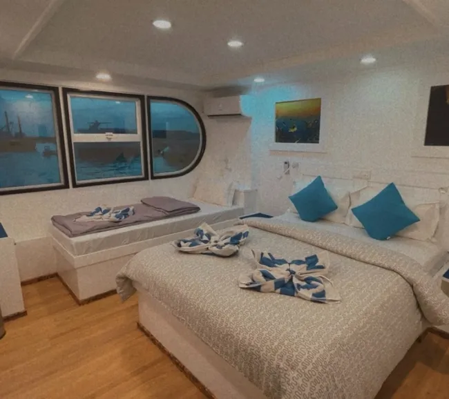 Maldivler Dalış Turu