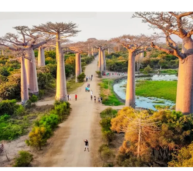 Madagaskar Dalış Turu