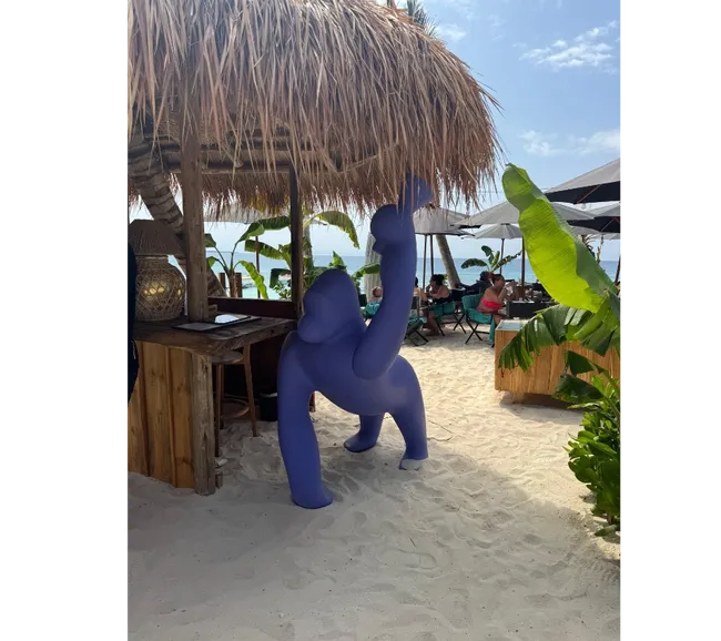 Zanzibar Bayram Tatili Dalış ve Kültür Turu