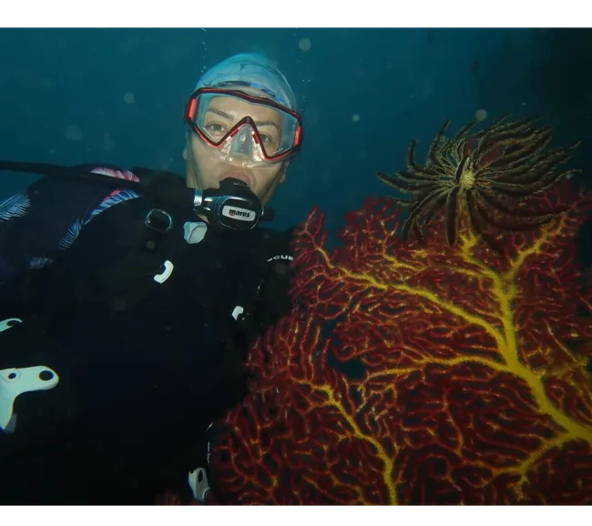 Filipinler Moalboal Dalış Turu