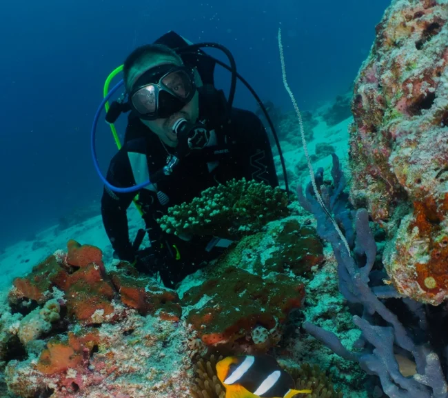 Güney Maldivler Tiger Shark Dalış Turu - Fotoğraf 6