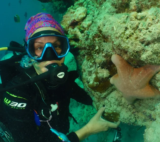 Güney Maldivler Tiger Shark Dalış Turu - Fotoğraf 9