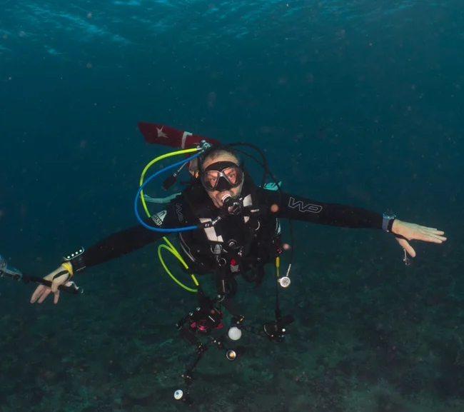 Güney Maldivler Tiger Shark Dalış Turu - Fotoğraf 8