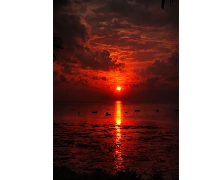 Kenya Dalış & Safari Turu