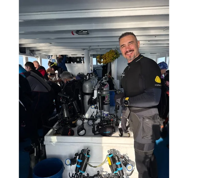 Güney Maldivler Tiger Shark Dalış Turu - Fotoğraf 15