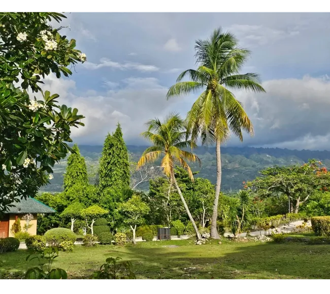 Filipinler Moalboal Dalış Turu 2