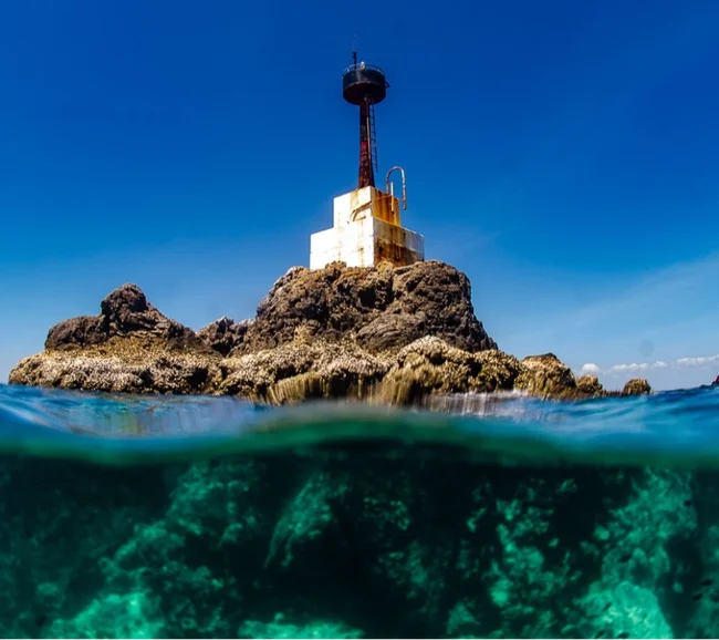 Phuket/Tayland Dalış Turu 2026 - Fotoğraf 11