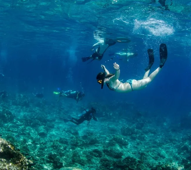 Phuket/Tayland Dalış Turu 2026 - Fotoğraf 7