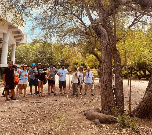 SCUBA-BAY Komodo Dalış Turu | Eylül 2026 - Fotoğraf 32