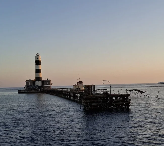 BDE/Kızıldeniz Dalış Turu - Fotoğraf 17