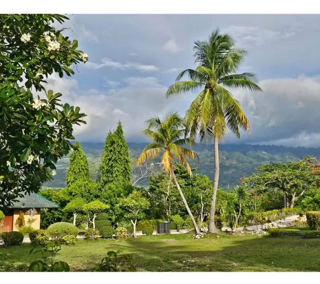 Filipinler Moalboal Dalış Turu