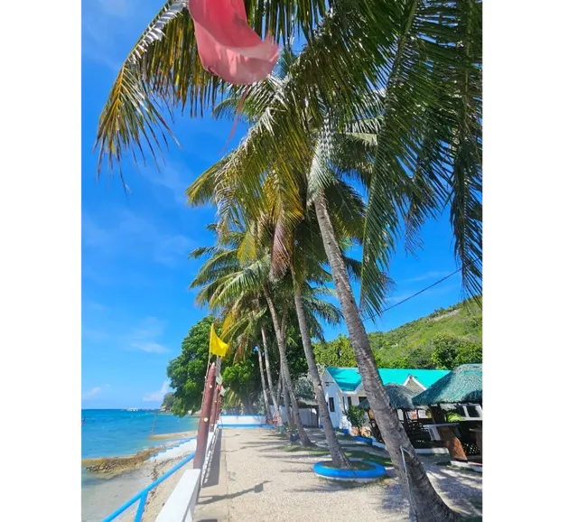 Filipinler Moalboal Dalış Turu