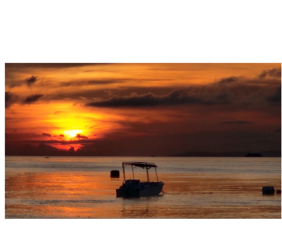 NEGROS FİLİPİNLER DALIŞ TURU 2