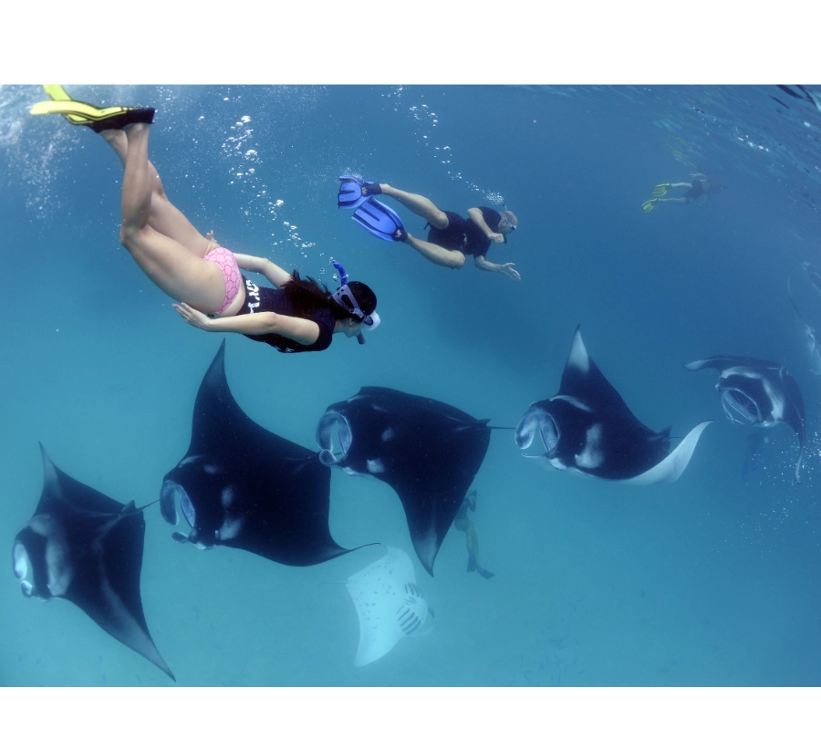 Maldivler Dalış Turu