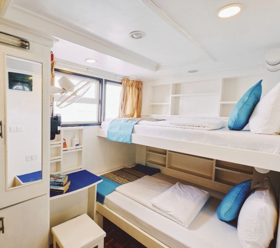 Güney Maldivler Tiger Shark Dalış Turu