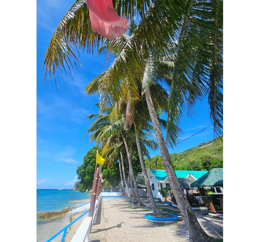 Filipinler Moalboal Dalış Turu