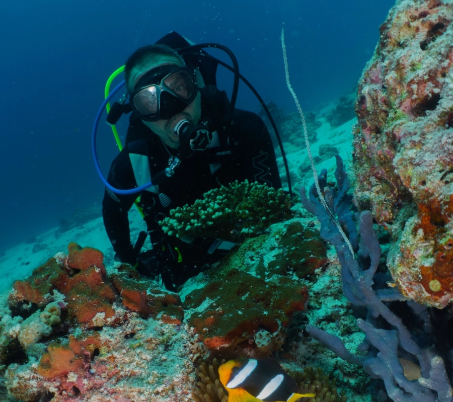 Güney Maldivler Tiger Shark Dalış Turu - Fotoğraf 6