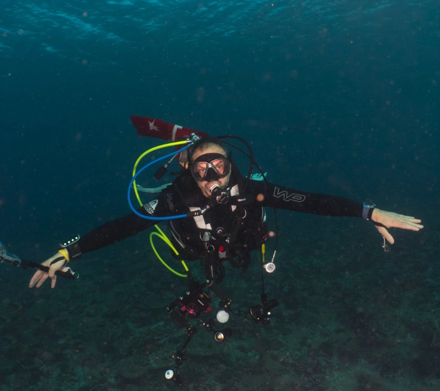 Güney Maldivler Tiger Shark Dalış Turu - Fotoğraf 8